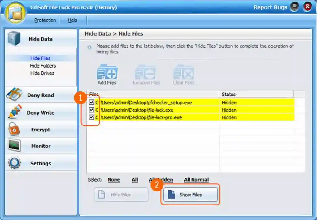 GiliSoft File Lock Pro Free Download